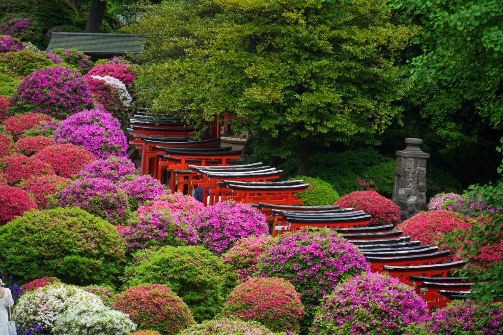 島根の縁結び神社9選！出雲大社ほかご利益の由来と参拝作法・玉造温泉めぐりまで【2026年最新】